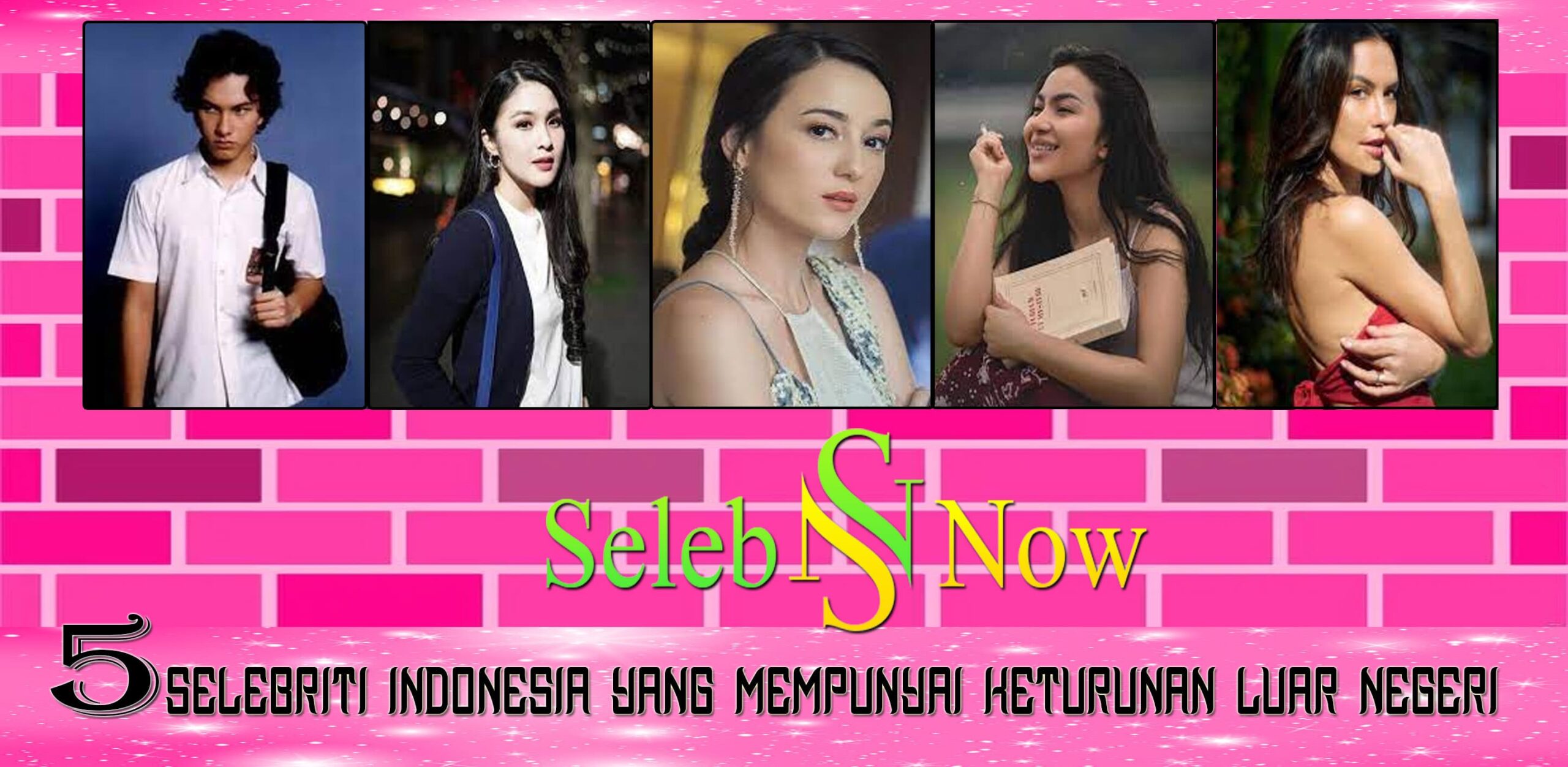 5 Selebriti Indonesia