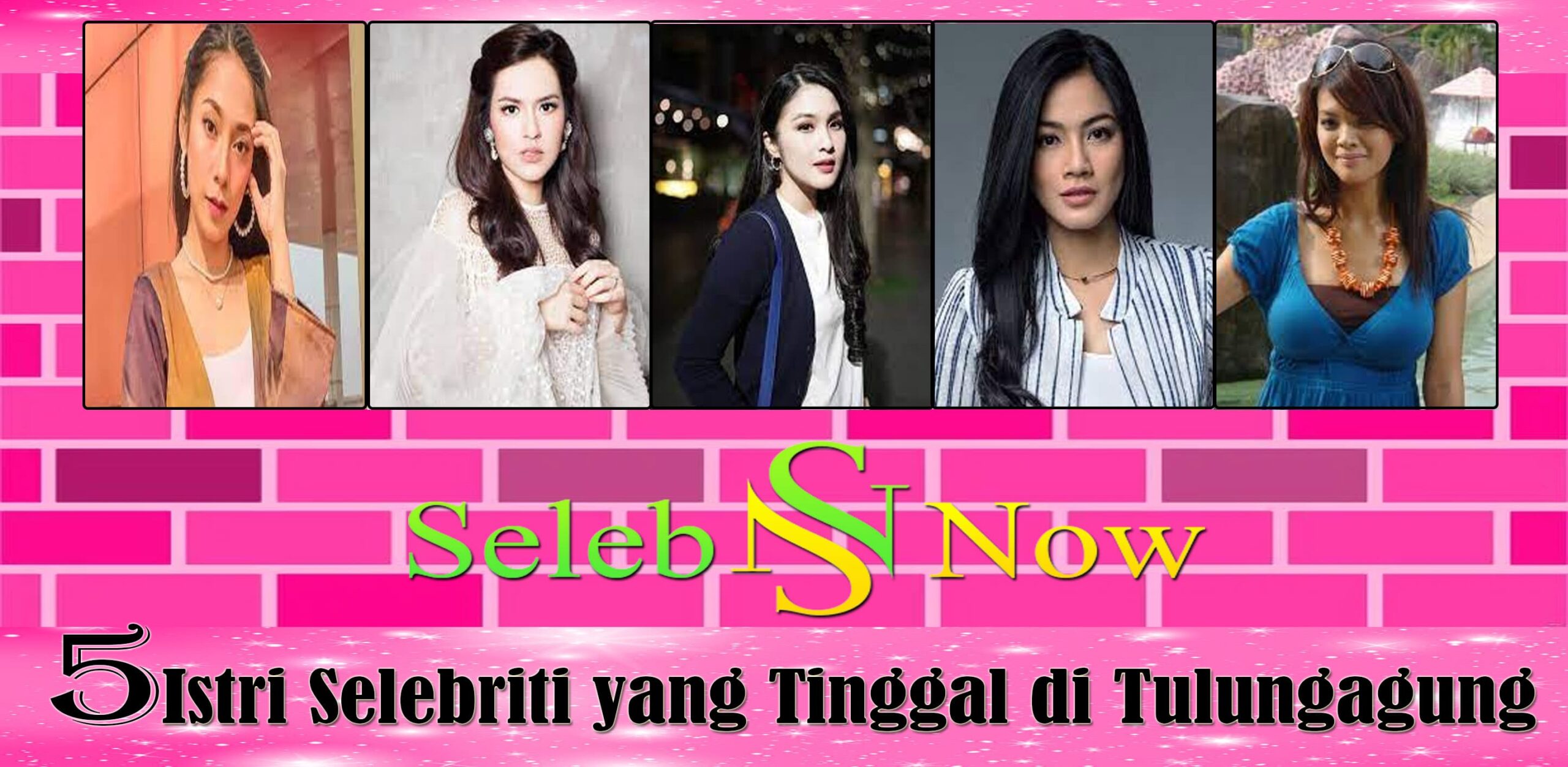 5 Istri Selebriti